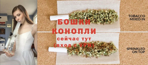 стаф Струнино