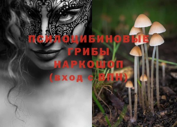 стаф Струнино