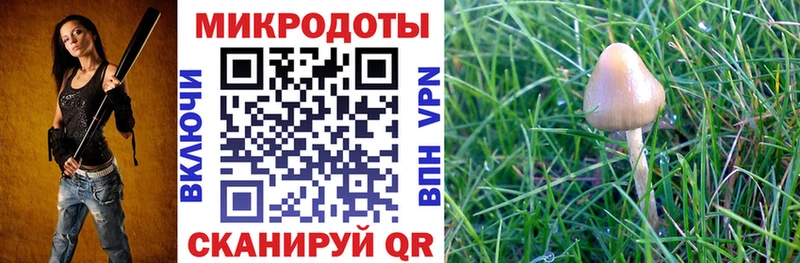 blacksprut онион  Верхоянск  Псилоцибиновые грибы Cubensis 